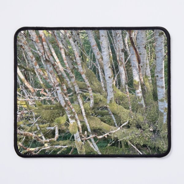 Item preview, Tranquil forest designed and sold by DublinRoses.