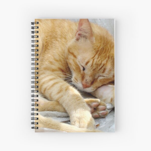 Not Easy Being A Stray (Print) Spiral Notebook