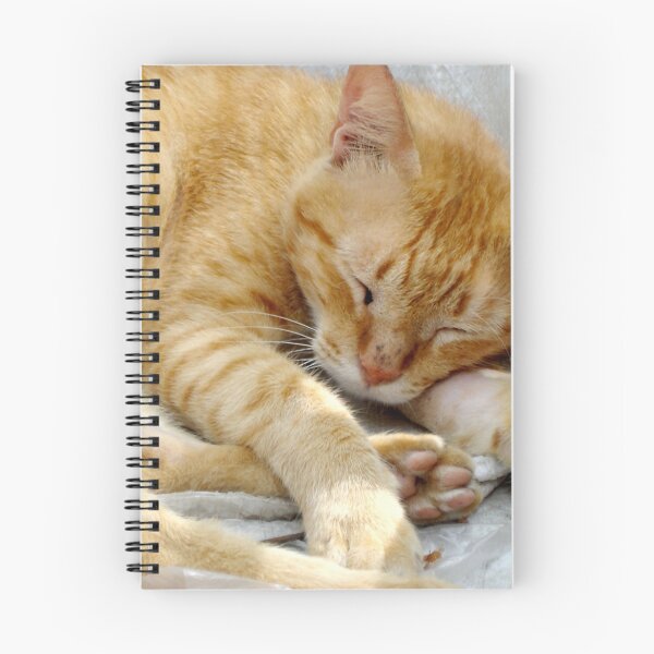 Item preview, Not Easy Being A Stray (Print) designed and sold by frozenfa.