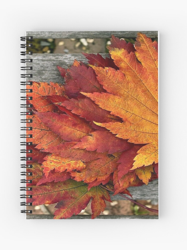 Cuaderno de espiral «Hojas secas de otoño en el» de lwowl0984 | Redbubble
