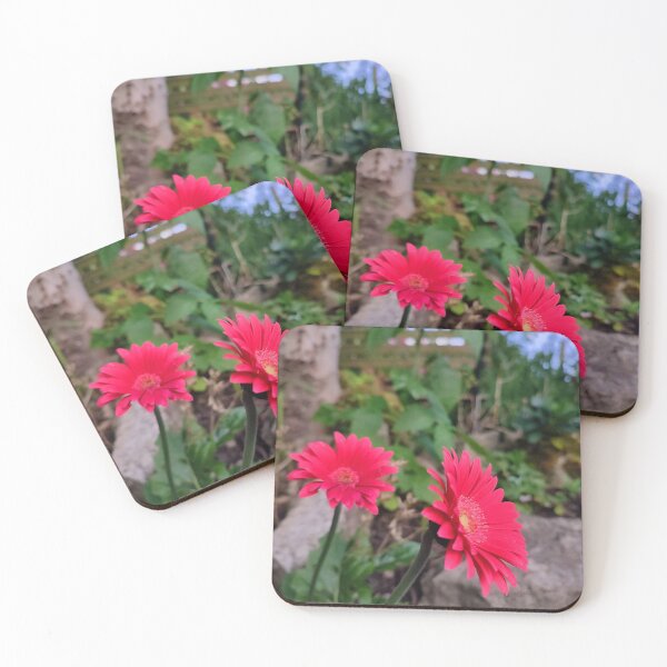 Item preview, Garvinia Flowers (Gerbera) designed and sold by JonDelorme.