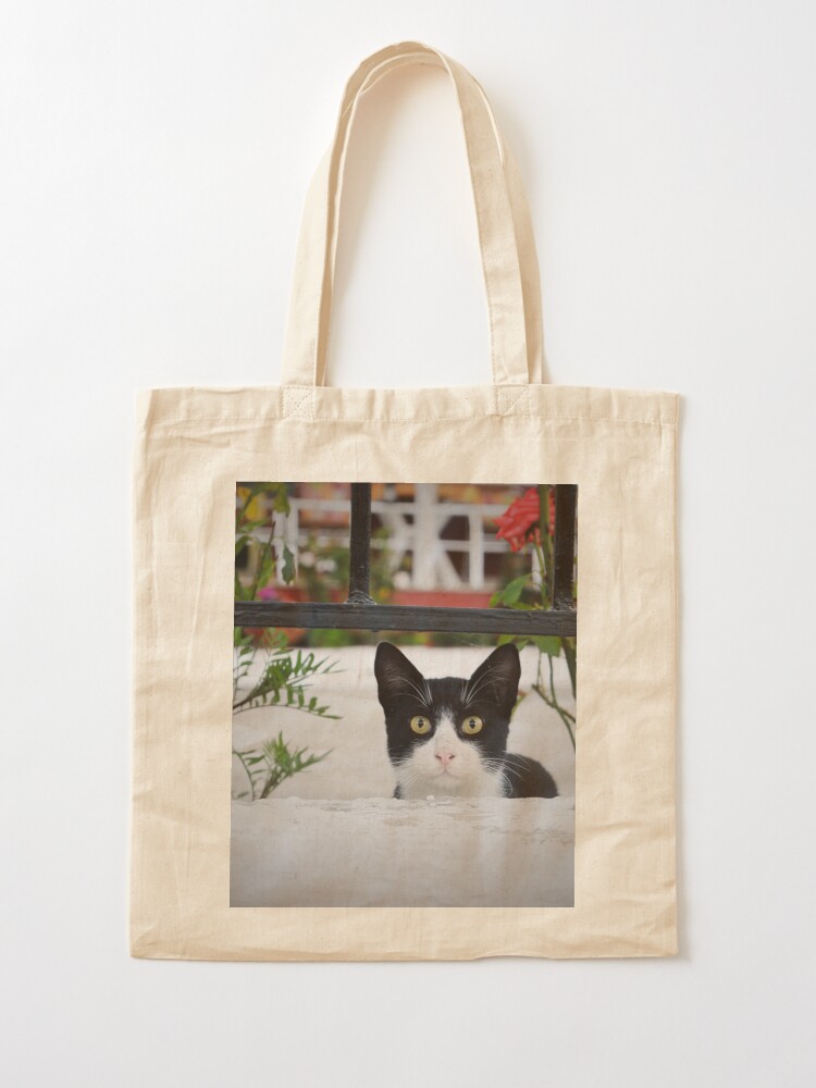 dakpets deshedding tool