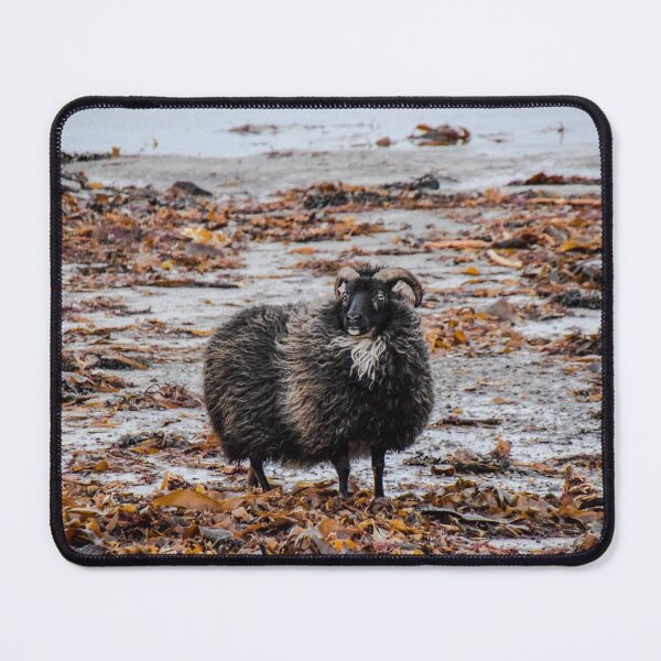 Item preview, ICELANDIC SHEEP-Iceland designed and sold by BEATRIZ ABAITUA.