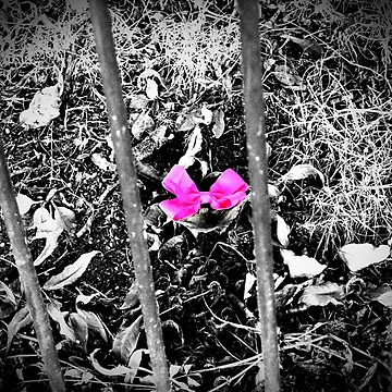 Artwork thumbnail, Pink Ribbon by StuartBoyd
