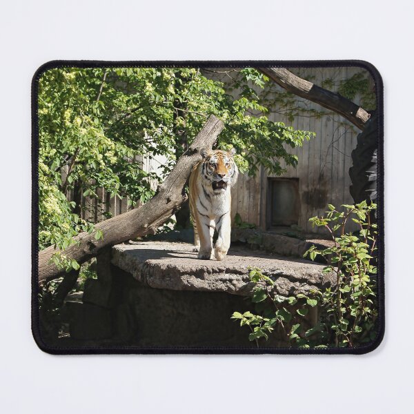 Item preview, A tiger opening his/her mouth designed and sold by dabingboshi.