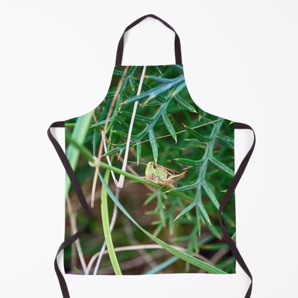 Item preview, Grasshopper designed and sold by NunoPires.