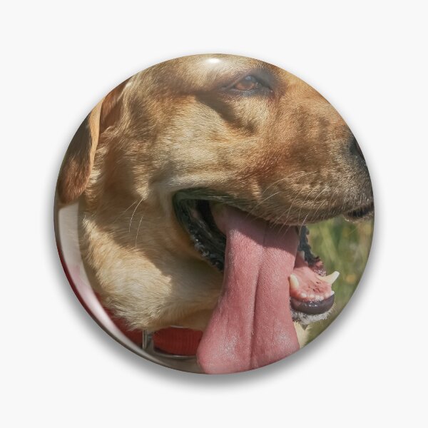 Item preview, Hot Dog designed and sold by NunoPires.