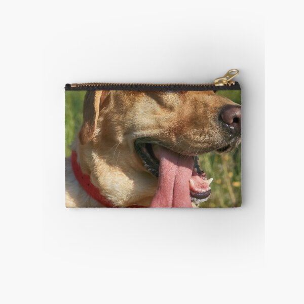 Item preview, Hot Dog designed and sold by NunoPires.