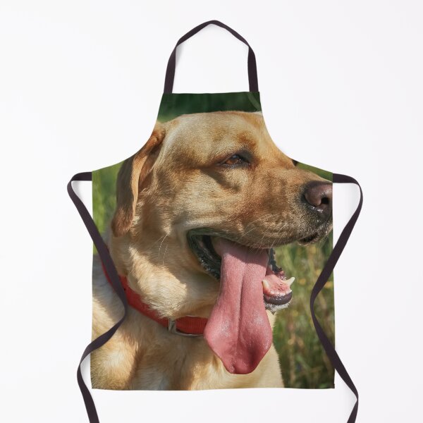 Item preview, Hot Dog designed and sold by NunoPires.