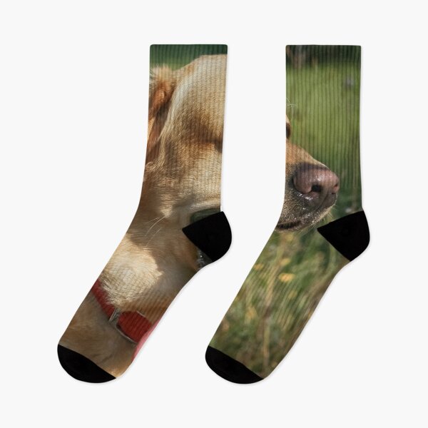 Item preview, Hot Dog designed and sold by NunoPires.