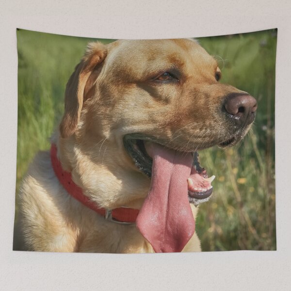Item preview, Hot Dog designed and sold by NunoPires.