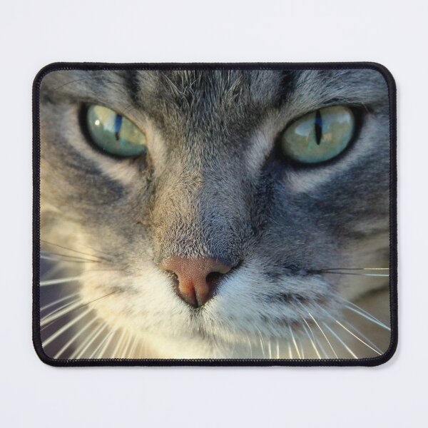 Item preview, Nice Cat designed and sold by Hankonen.