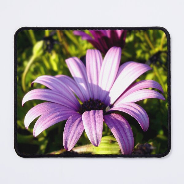 Item preview, Untouched designed and sold by NunoPires.