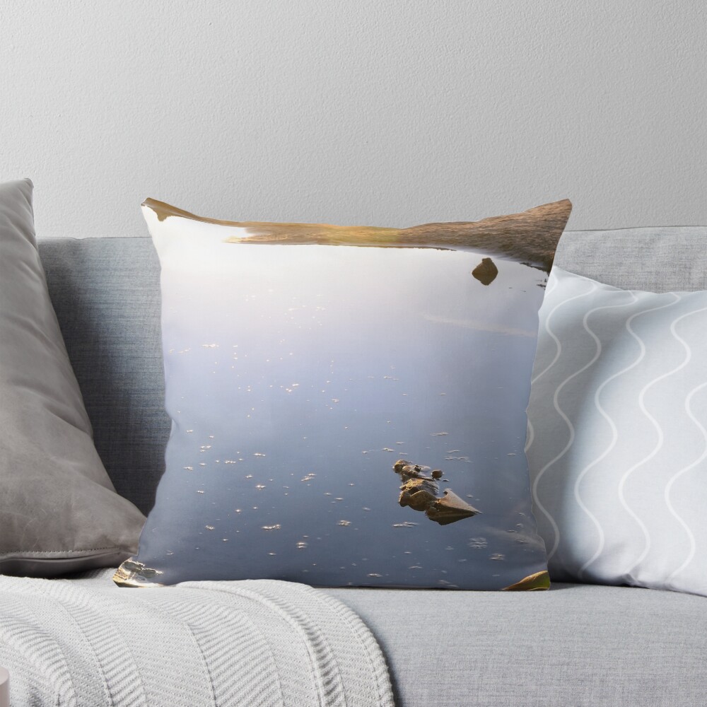 Item preview, Throw Pillow designed and sold by Mallorn.