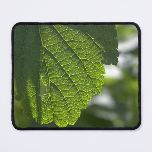 Item preview, Leaf Veins designed and sold by Hankonen.