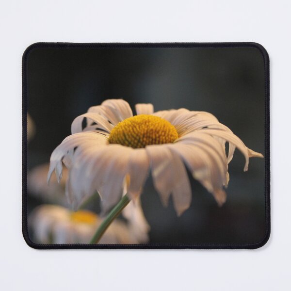 Item preview, Daisy designed and sold by Hankonen.