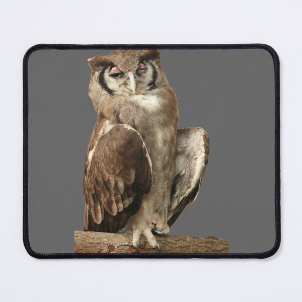 Item preview, Winking Owl tee designed and sold by TVD-Photography.