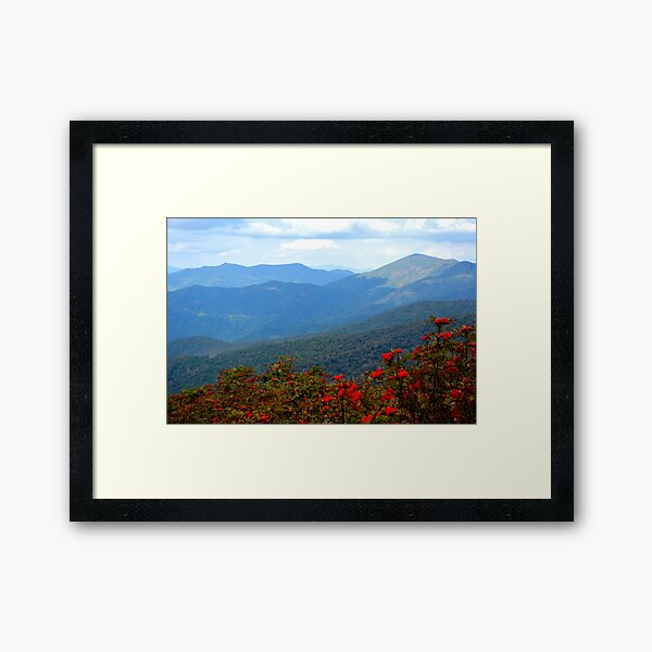 Framed Print