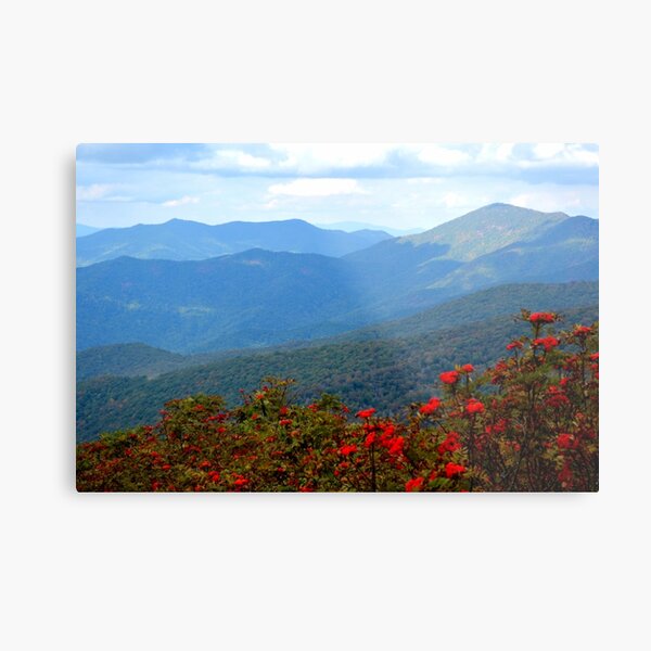 Metal Print