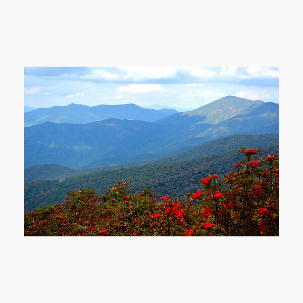 Photographic Print