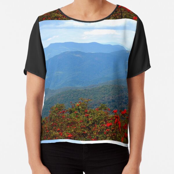 Chiffon Top