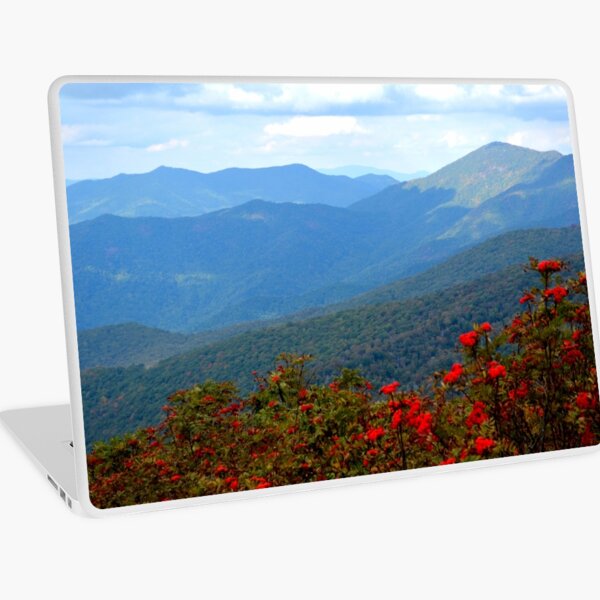 Macbook Air 13" (2015)