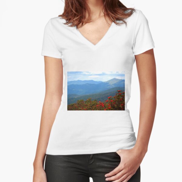 Fitted V-Neck T-Shirt