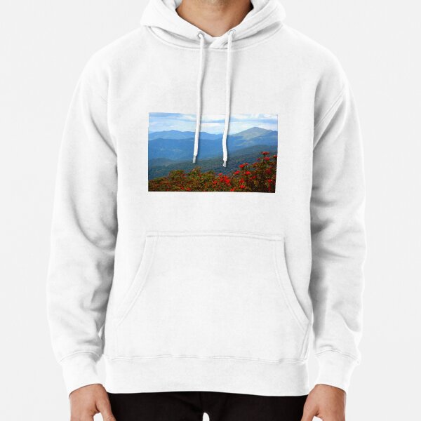 Hoodie (Pullover)