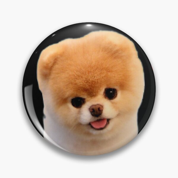 Item preview, dog adoption animal shelter designed and sold by Mohd wasim.