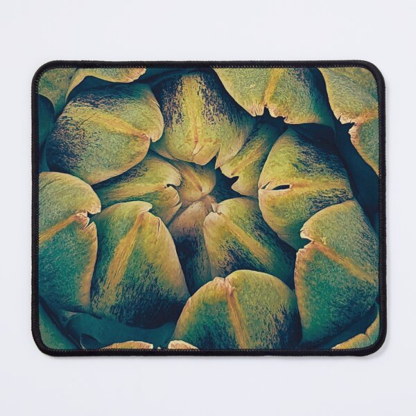 Item preview, Patterns in nature designed and sold by Steph-draws.