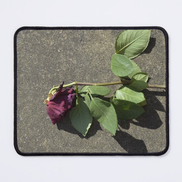 Item preview, Rose designed and sold by Steve Stones.