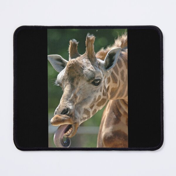 Item preview, Giraffe with tongue poking out designed and sold by quentinjlang.