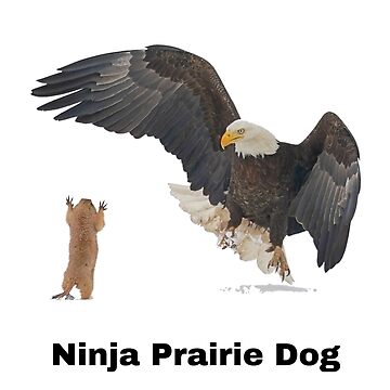 Artwork thumbnail, Ninja Prairie Dog by pappadukes