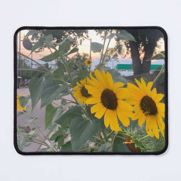 Item preview, Sunflower on a summer evening in Colorado designed and sold by HumboldSoul.