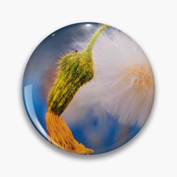 Item preview, A sad bloom. designed and sold by Dave Hare Photography.