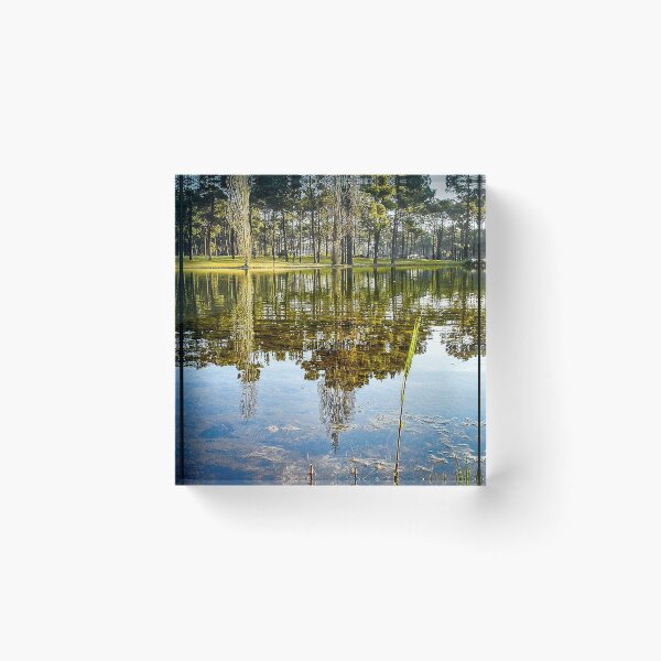 Item preview, Lake Reflections designed and sold by NunoPires.