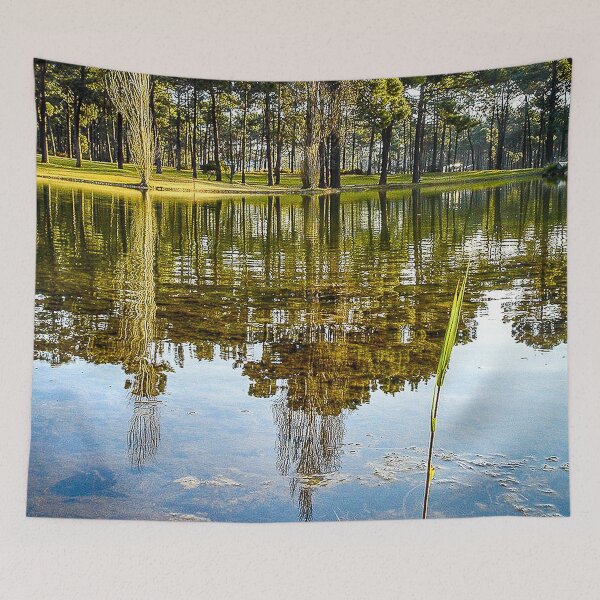 Item preview, Lake Reflections designed and sold by NunoPires.