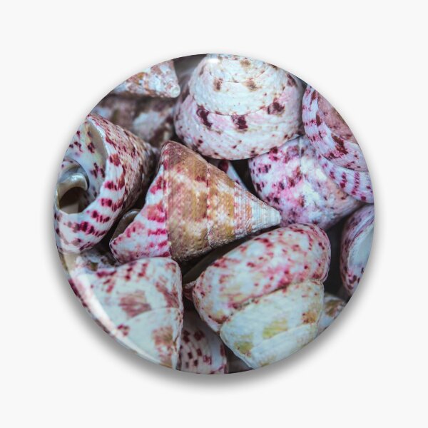 Item preview, Sea Shells designed and sold by Dave Hare Photography.