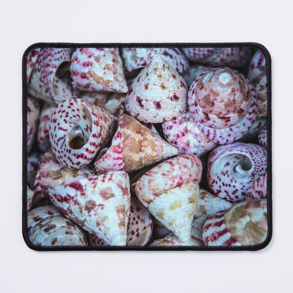 Item preview, Sea Shells designed and sold by Dave Hare Photography.
