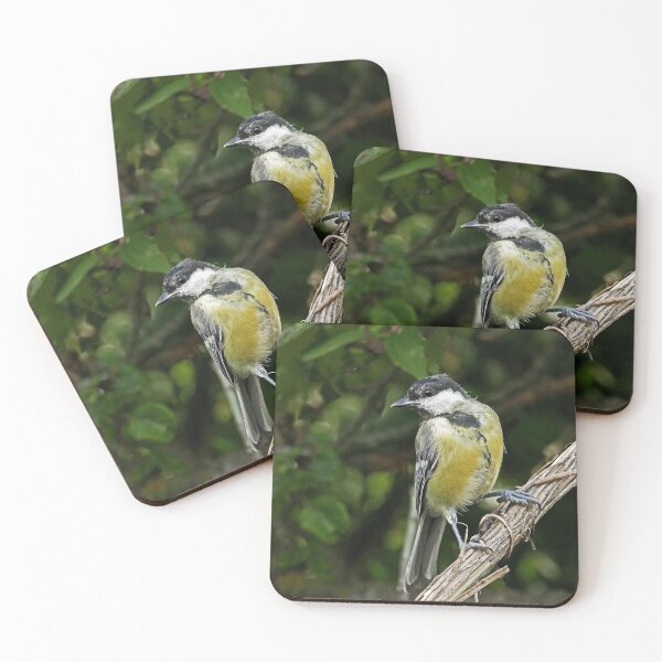 Item preview, r1053 / New Finition 2021 -- Oiseau " Mésange Charbonnière " 2014 (c)(t) Olavia-Olao Okaio Créations designed and sold by o.okaïo.