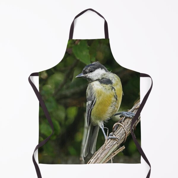 Item preview, r1053 / New Finition 2021 -- Oiseau " Mésange Charbonnière " 2014 (c)(t) Olavia-Olao Okaio Créations designed and sold by o.okaïo.