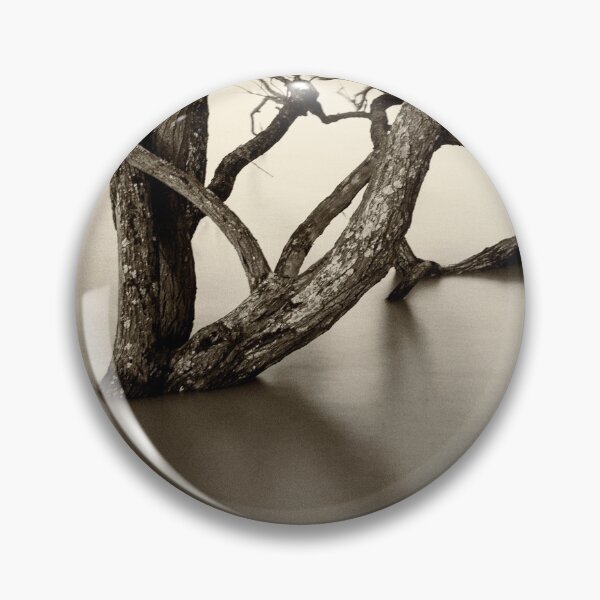 Item preview, Flooded trees designed and sold by Dave Hare Photography.