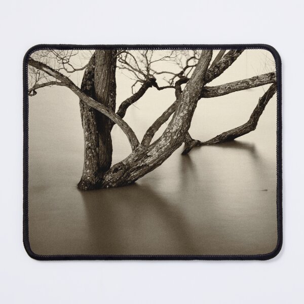 Item preview, Flooded trees designed and sold by Dave Hare Photography.
