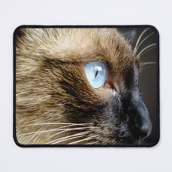 Item preview, Staring designed and sold by NunoPires.