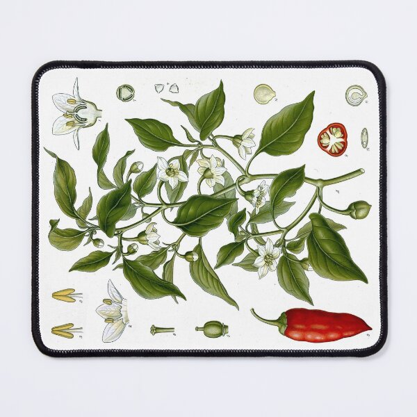 Item preview, Cayenne Pepper by Franz Eugen Köhler designed and sold by Amanda1775.