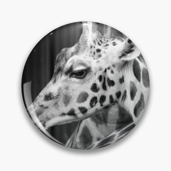 Item preview, Giraffe designed and sold by Dave Hare Photography.
