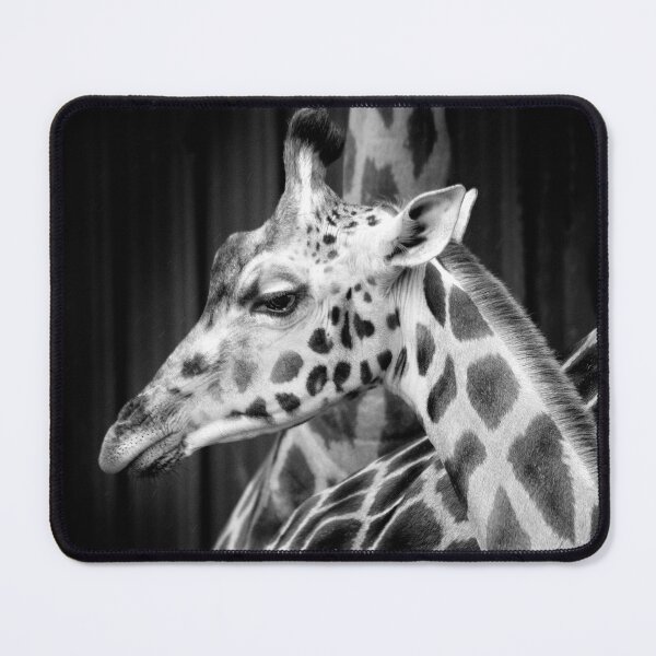 Item preview, Giraffe designed and sold by Dave Hare Photography.