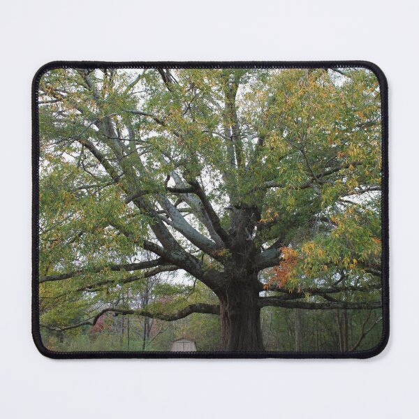 Item preview, Old Tree designed and sold by mkmfeagler.