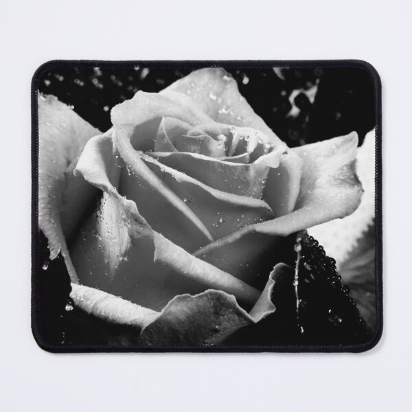 Item preview, Mothers day rose designed and sold by Dave Hare Photography.