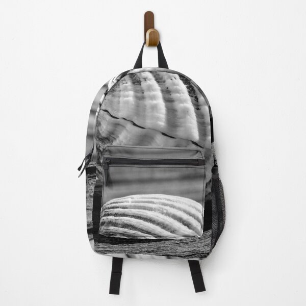 Item preview, Sea shell on wood designed and sold by Dave Hare Photography.